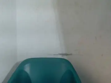 Bongacams Watch Live Sex Cams of Sugarxpussy