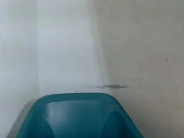 Bongacams Private Sex Chat of Sugarxpussy