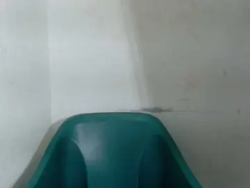 Bongacams Adult Webcam of Sugarxpussy