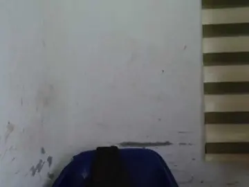 Bongacams Watch Live Sex Cams of Sexyxcunt
