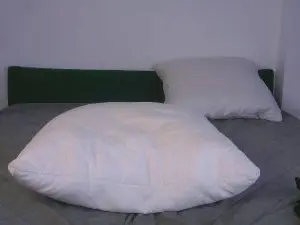 Cam4 Free Live Porn of FernGladney