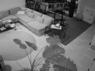 Camsoda Free Live Porn of voyeurcam-julmodels-living-2