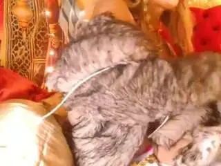 Camsoda Sex Cam of godesstari