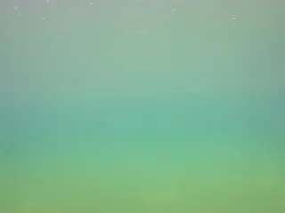 Camsoda Best Webcam of voyeurcam-casa-salsa-pool-1