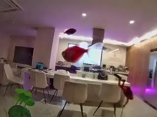 Camsoda Private Sex Chat of voyeurcam-casa-salsa-fishtank