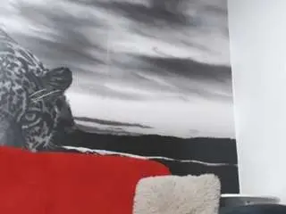 Camsoda Adult Webcams of andreeaboobs