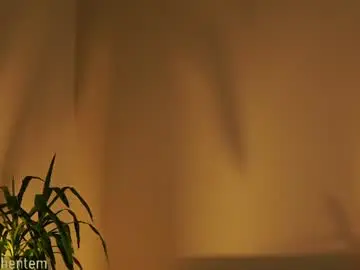 Chaturbate Free Porn Cam of ms_seductive