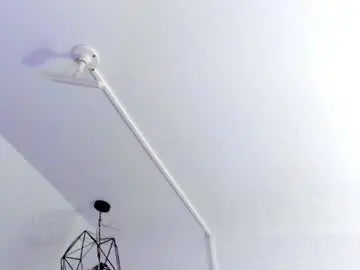 Chaturbate Live Porn of halie728