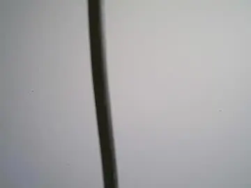 Chaturbate Watch Live Sex Cams of black_tentationx