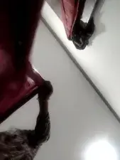 Dscgirls Free Porn Cam of Sabita Mishra