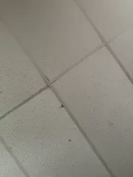Stripchat Nude Webcam of BunnyYT